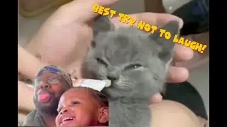 The HARDEST Try Not To Laugh...