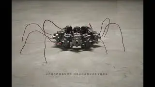 鄭森雨《 血滴子 》｜ Zheng Sen-Yu &ldquo;The Flying Guillotine&rdquo;