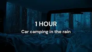 Sleeping In The Car During Heavy Rain - 1 Hour