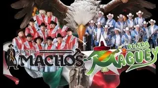 Mix movidas BANDA MACHOS VS BANDA MAGUEY