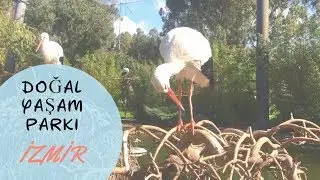 Супер зоопарк в Измире. Отдых в Турции 2018 doğal yaşam park
