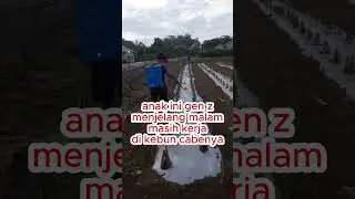 siapa bilang gen z gak bisa kerja? #petani