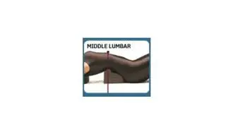 Middle Lumbar Denneroll