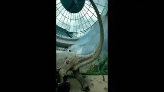 Raleigh Adventure! Exploring the Museum of Life and Science
