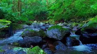 River Night Soundscape - Restful Mind & Body | sleep - relax - enjoy life - ASMR