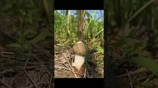 One finger only #shorts #shortvideo