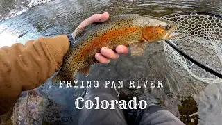Frying Pan River Fly Fishing - Colorado
