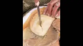 How are precious pearls obtained