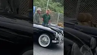 Vintage cars at Seattle Sea fair 2023 #shorts