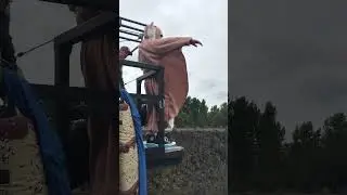 Harper, the flying Squirrel