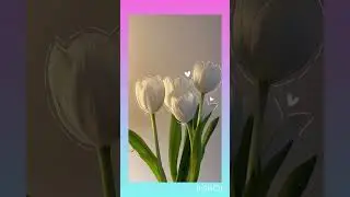What is self concept