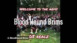 Bloodhound Brims Bloods Gang Indicted in New York