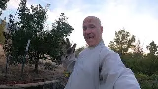 Monk Garden at the Chua Thein An  Desert Zen Center