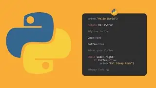 Fundamentals of Python Programming for Beginners