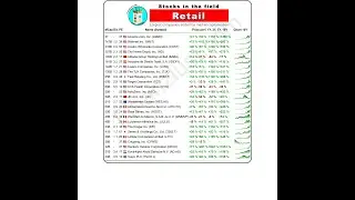 Which Retail stocks are there? [January 2025]