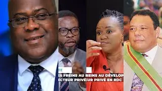 TSHISEKEDI ET LES MILLIONNAIRES CONGOLAIS : ENTRE PROMESSE NON TENUE ET BLOCAGE DANS SECTEUR PRIVE