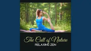 Reduce Everyday Stress
