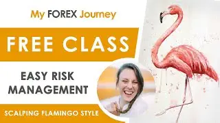 Scalping Flamingo Style - Risk Management - How to avoid big drawdown -   Gold - Forex Trading
