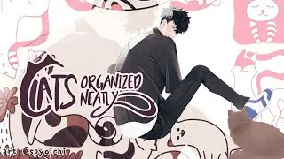 【Cats Organized Neatly】 This is Definitely Calming 【NIJISANJI / にじさんじ】