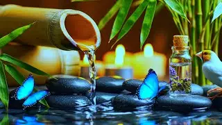 Healing Sleep Music 2026 || Relaxing Silent Hour || 🌿 Deep Rest, Relaxation & Peaceful Dreams
