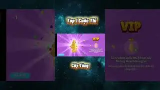 Top 1 Pine Tree Race Play Together