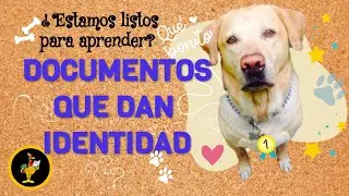 DOCUMENTOS QUE DAN IDENTIDAD/ EDUCACI&Oacute;N PRIMARIA