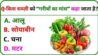 Hard Gk Question ❓ Top 10 General Knowledge in hindi ❗ #generalknowledgequestions