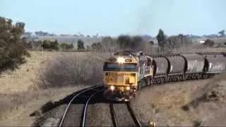 8167 + C504 + 48162 up wheat Cullerin Ranges