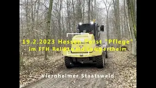 2023 02 19 HessenForst krasse Wegepflege im FFH Reliktwald Lampertheim