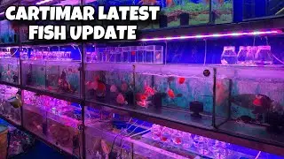 CARTIMAR LATEST FISH UPDATE‼️ Madaming KLASE ng ISDA ang BUMABA na ang PRESYO‼️😱