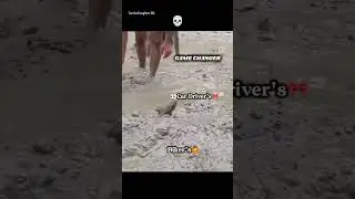 Biker's & Other Driver's Relation 👀