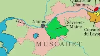 Muscadet