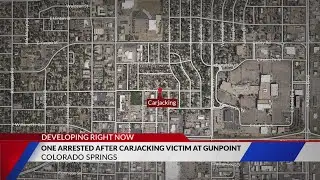 One arrested after allegedly carjacking victim at gunpoint