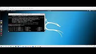 anonymous Live Stream