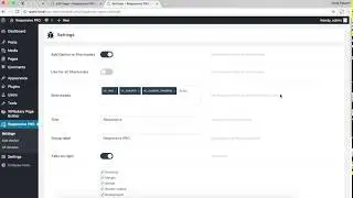 Responsive PRO - settings
