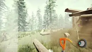 The Forest123