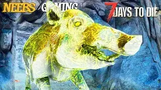 A GIANT Infected Pig named Grace - 7 Days to Die Gameplay Series