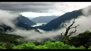 beautiful nature wallpapers
