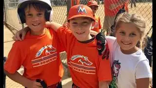 Marlins (Pinto) 2017-High Point Pony-Baseball