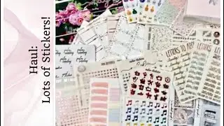 Planner Haul: Tasseled Planner, Sadie&rsquo;s Stickers, Plush Paperie, & more! | ShawntePlans