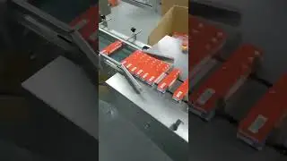 Automatic toothpaste filling and sealing tail machine with automatic paper box packing machine