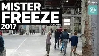 Mister Freeze 2017 &agrave; Toulouse - Urban Art Contemporary & Graffiti