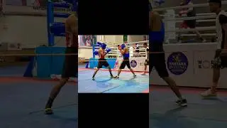 🔥#boxingshorts #youtubeshorts  #boxingindia #viralshorts   #fightnight #indianboxer #combatsports