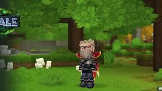 A Hero's Tale