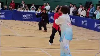 2026年1月10日沙田錦标赛。