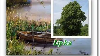 Lipka