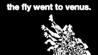 the fly went to venus. (Experimental Short Film)