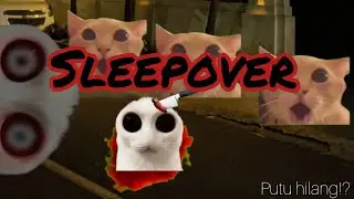 SLEEPOVER PARTY | Putu hilang?? | miaw meme cat | hororcat 