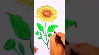 burush pen se suraj mukhi ki sundarta 🌻 #art #shortsfeed #sketchdrawing #penting