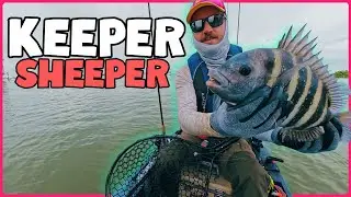 Живая креветка против искусственной наживки | Какие крючки Sheepshead лучше всего?